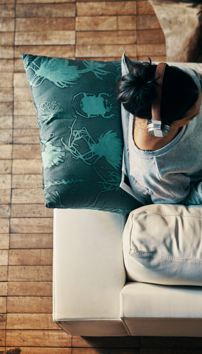 Programa para financieras